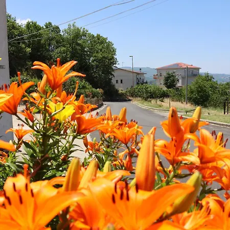 ベッド・アンド・ブレックファスト Al Giardino